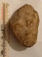 image-3603869658.webp