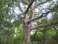 finds 016.webp