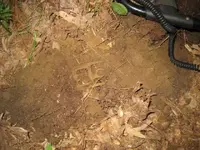 finds 023.webp