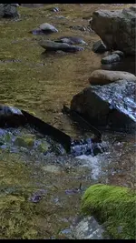 image-3590373754.webp