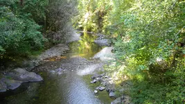 DSCN4988.webp