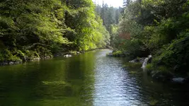 DSCN4999.webp