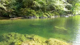 DSCN5001.webp