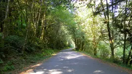 DSCN5006.webp