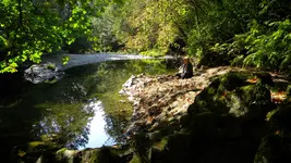 DSCN5014.webp