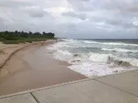 Beach Cut 8-25-14.webp