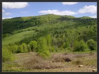 20140505823-Resizer-1220L256F261222W7.webp