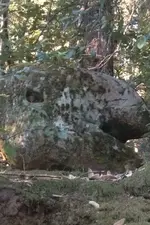 image.webp