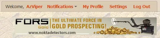Fors Gold.webp