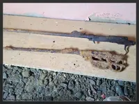 IMG_4497-Resizer-1220L256F261222W7.webp