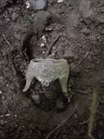 image-3102329671.webp