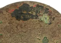 find 8-18-14 a closeup.webp