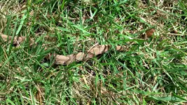 IMG_20140727_114009_611.webp