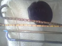 20140729_144625[1].webp