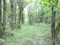 100_3295.webp