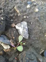 IMG_0355.webp IMG_0355.webp