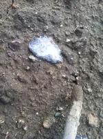 IMG_0356.webp IMG_0356.webp