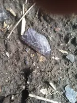 IMG_0359.webp IMG_0359.webp