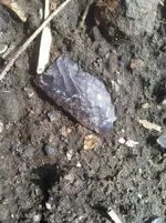 IMG_0360.webp IMG_0360.webp
