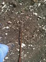 IMG_0361.webp IMG_0361.webp