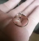 old ring.webp