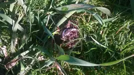 WP_20140908_001.webp