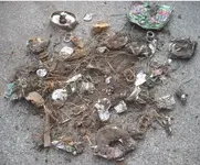 9_1_2014 2 todays trash.webp