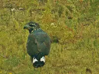 FSCN3607.webp FSCN3607.webp