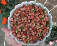 K1600_008.webp