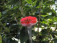 K1600_006.webp