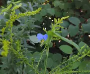 K1600_012.webp