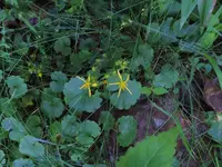 K1600_013.webp