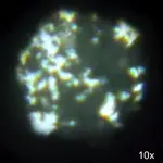 DSCF0322.webp