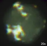 DSCF0325.webp