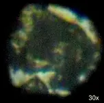 DSCF0334.webp