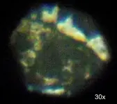 DSCF0335.webp