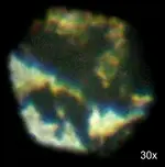 DSCF0338.webp