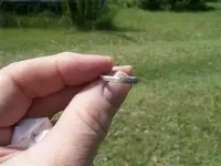 3 ring day 002 (Custom).webp