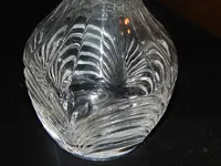 DSCN6138.webp