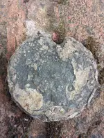20140803_193604.webp