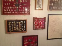 image-2892587317.webp