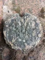20140803_193533.webp
