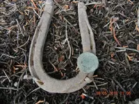 DSCN1944.webp