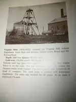 virg.webp