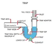 trap-1.webp