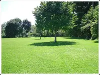SDC19193.webp