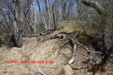 mill3.webp