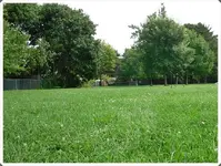 SDC19283.webp