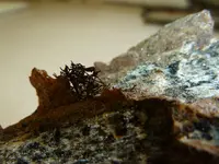 summer trip 2014 rockies 258.webp