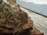 summer trip 2014 rockies 259.webp